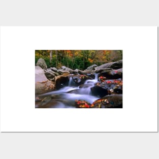 Little Pigeon River Cascading Among Rocks And Colorful Fall Maple Leaves Great Smoky Mountains National Park Posters and Art